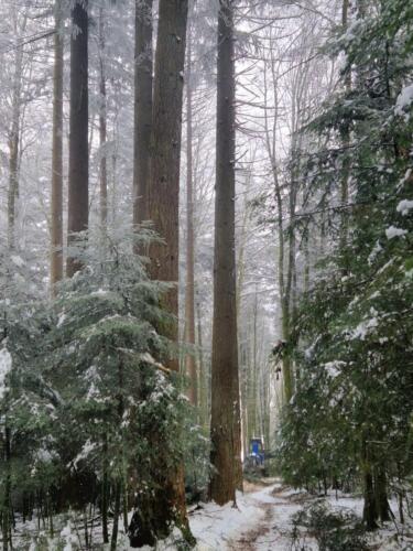 Winterwunderland 2024