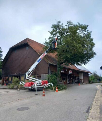 Hebebühne im Einsatz