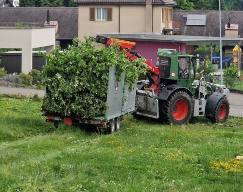 Abtransport Grüngut