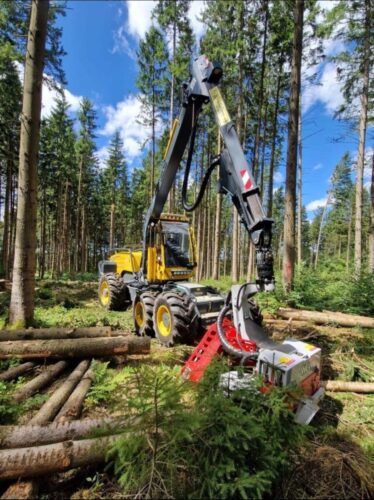 Ecolog in all seiner Pracht